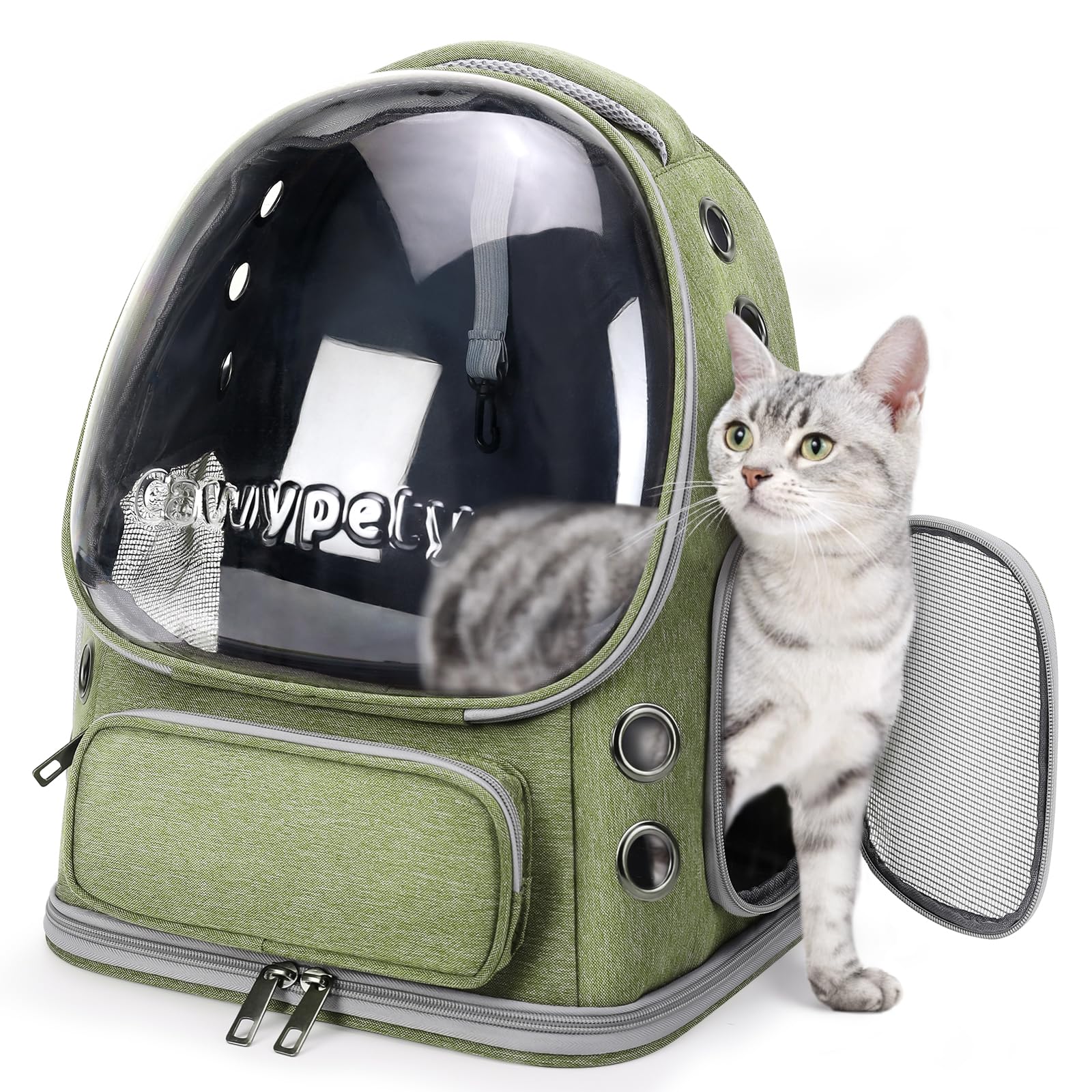 Cawypety cat backpack with bubble window for sunny, breathable travel