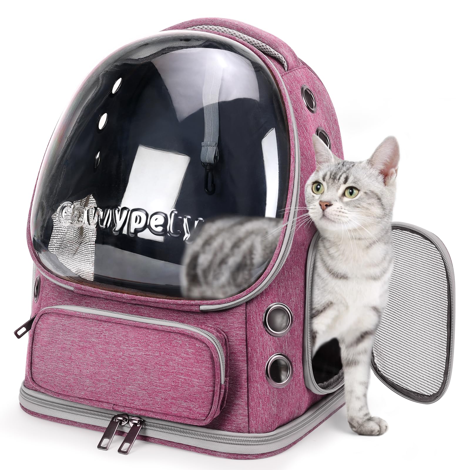 Cawypety cat backpack carrier with bubble window offers sun and ventilation for your cat
