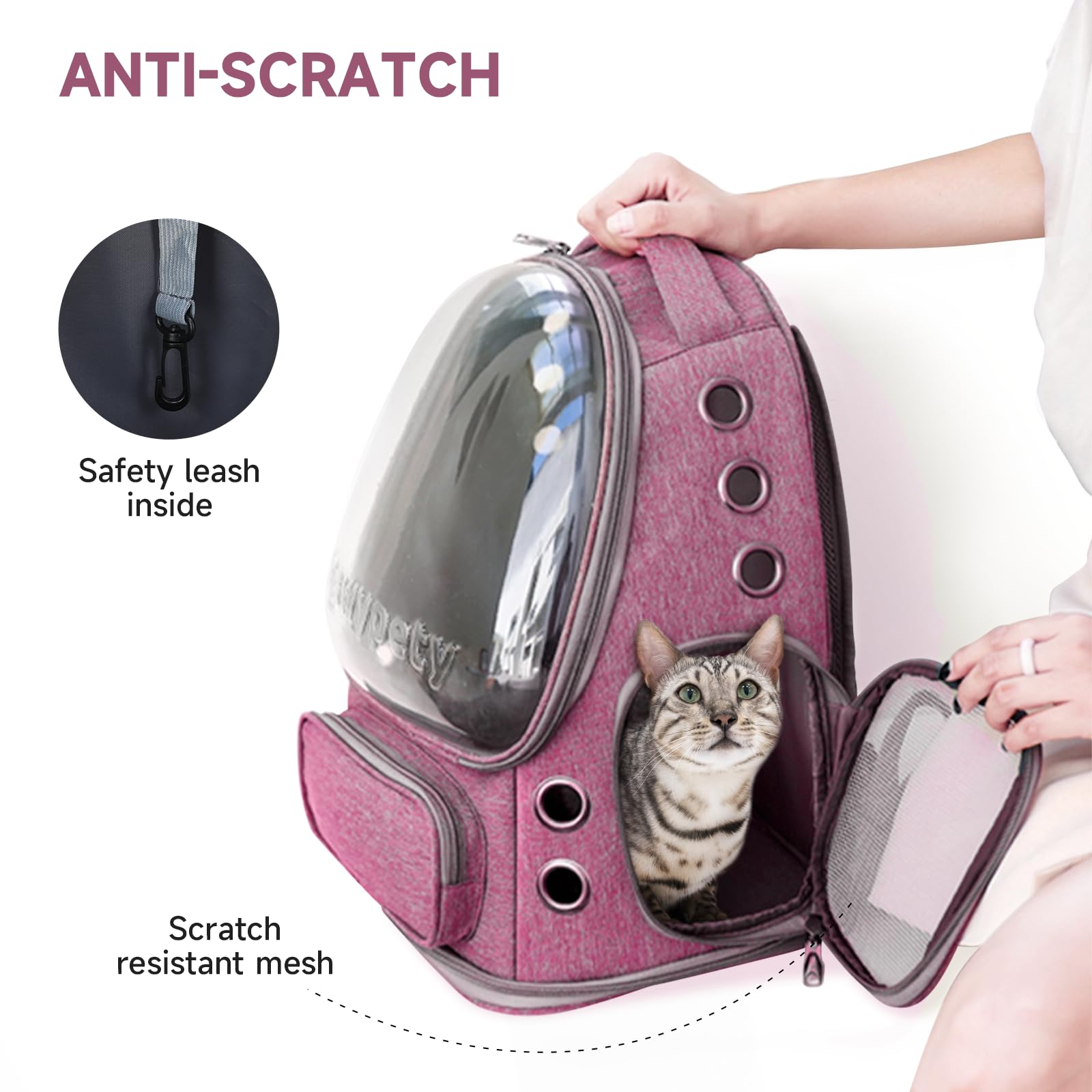 Cawypety scratch-resistant shell and breathable mesh protect pet and gear