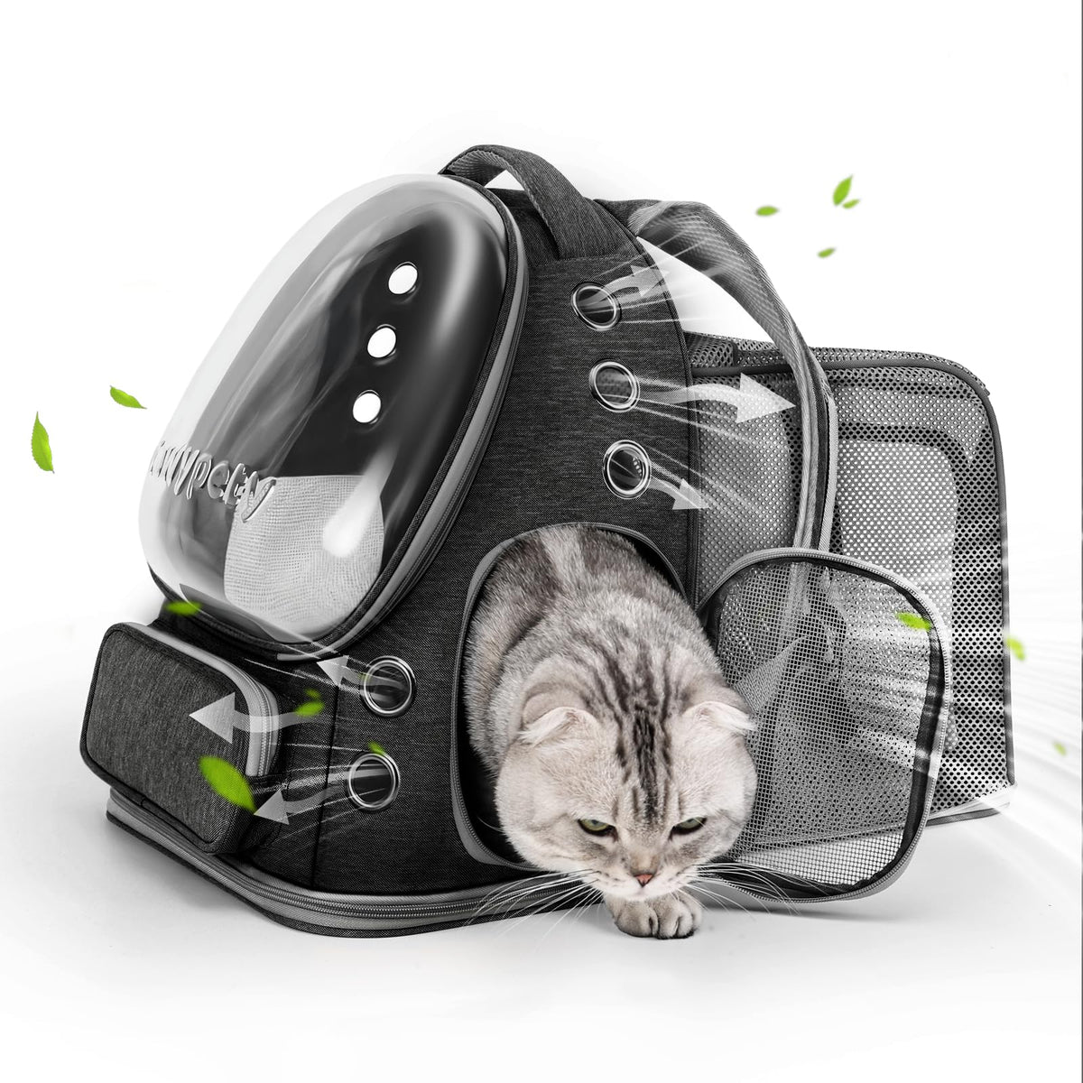 Cawypety Expandable Cat Backpack with bubble window for curious pets on the go