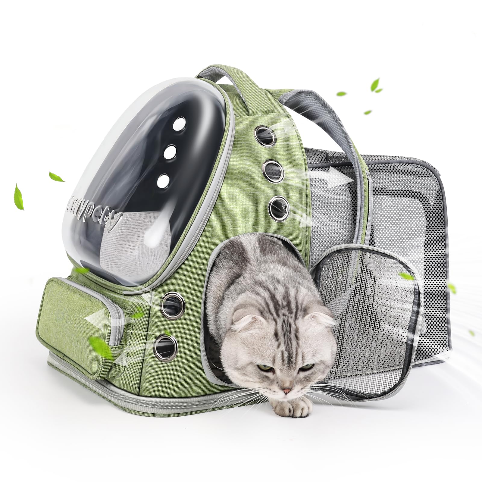 Cawypety expandable cat backpack with a front bubble window for curious pets during travel