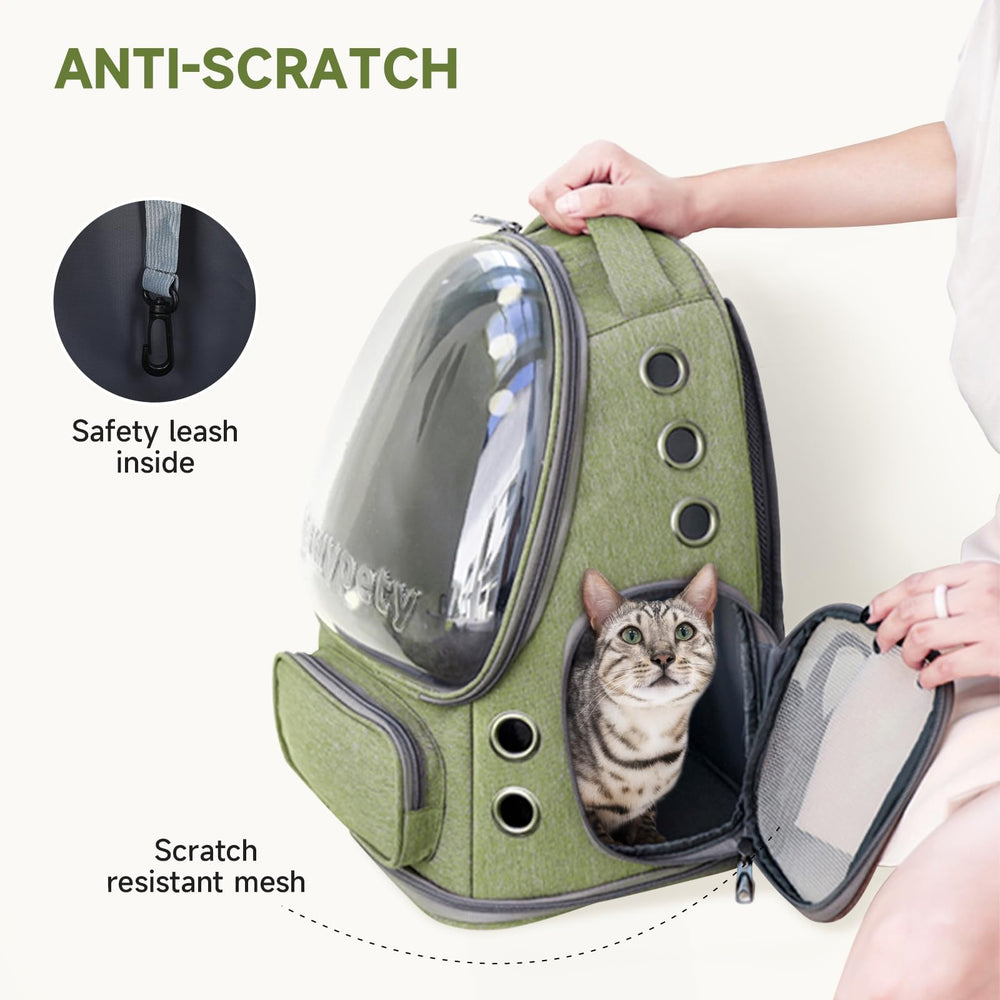 Cawypety scratch-resistant shell protects during paw interactions