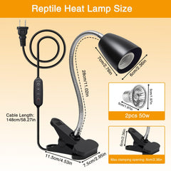 Cayludg 50W UVA/UVB bulbs simulate sunlight to support calcium uptake