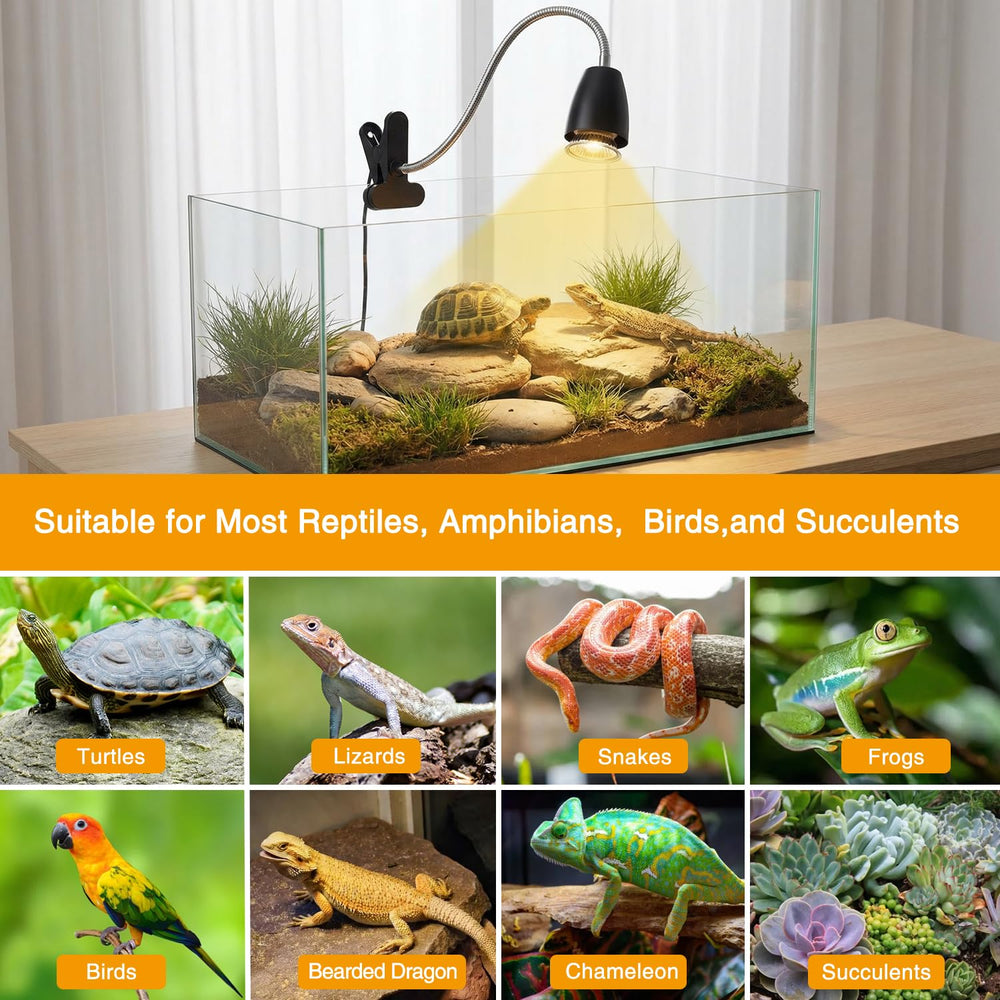 Cayludg E27 compatibility supports diverse bulb types