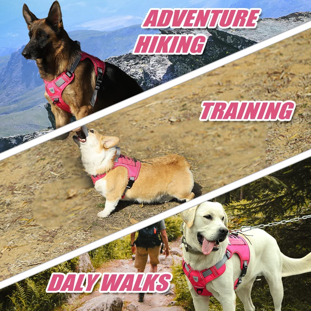CBBPET adjustable harness showing secure fit and versatile sizing