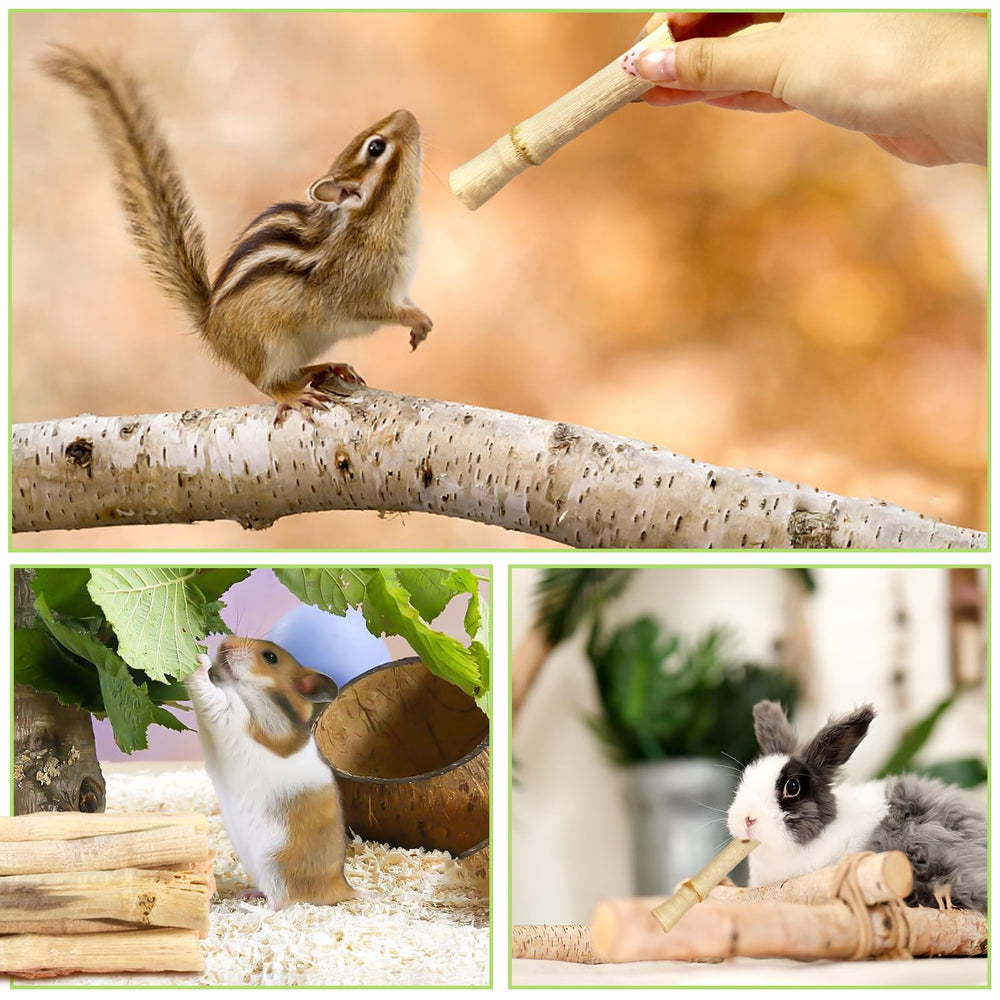 CCatswan nutrition-rich bamboo chew illustrating dietary fiber and xylose content.