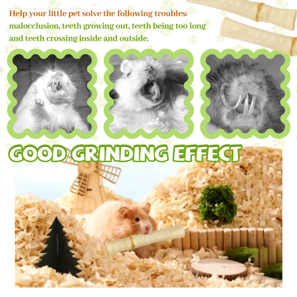 CCatswan hamster gnawing a bamboo chew stick for enrichment.