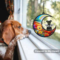 CCiaga rainbow-bridge background adds hopeful symbolism to pet memorial in sunlight