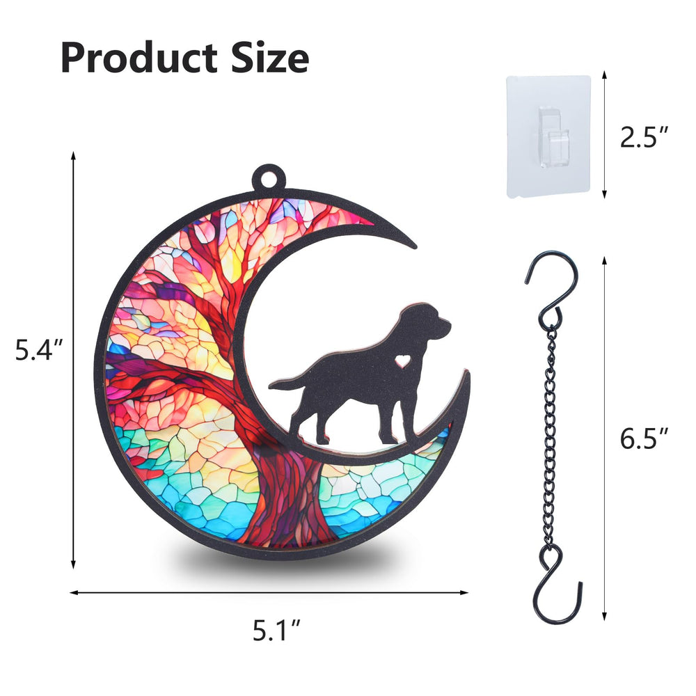 CCiaga sunlit display activates warm memory moments when sunlight passes through.