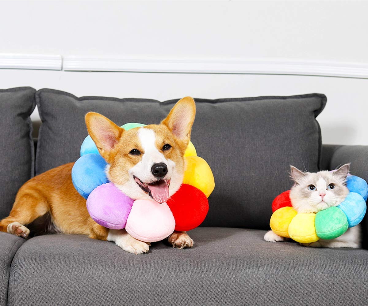 ccypet inner ring stabilizes everyday collar for secure fit