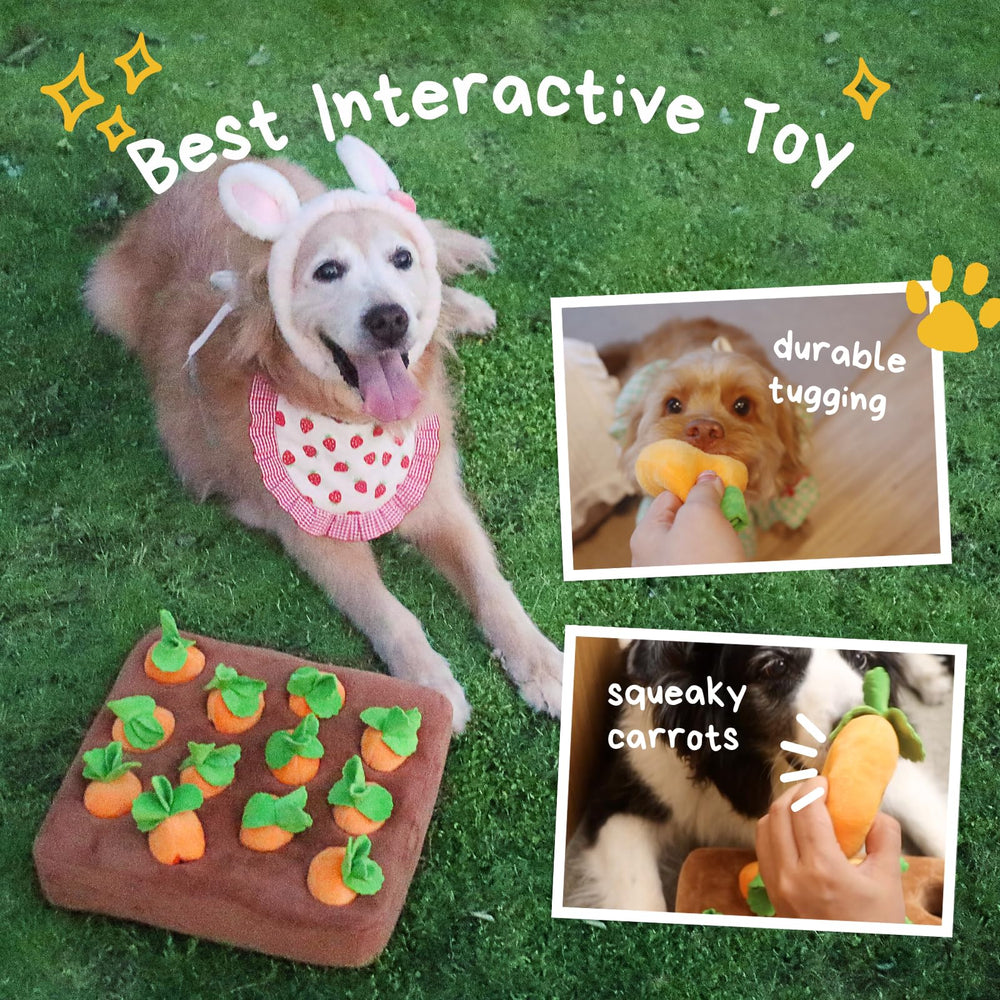 CECE PAW dog brain training enrichment for mental stimulation during play