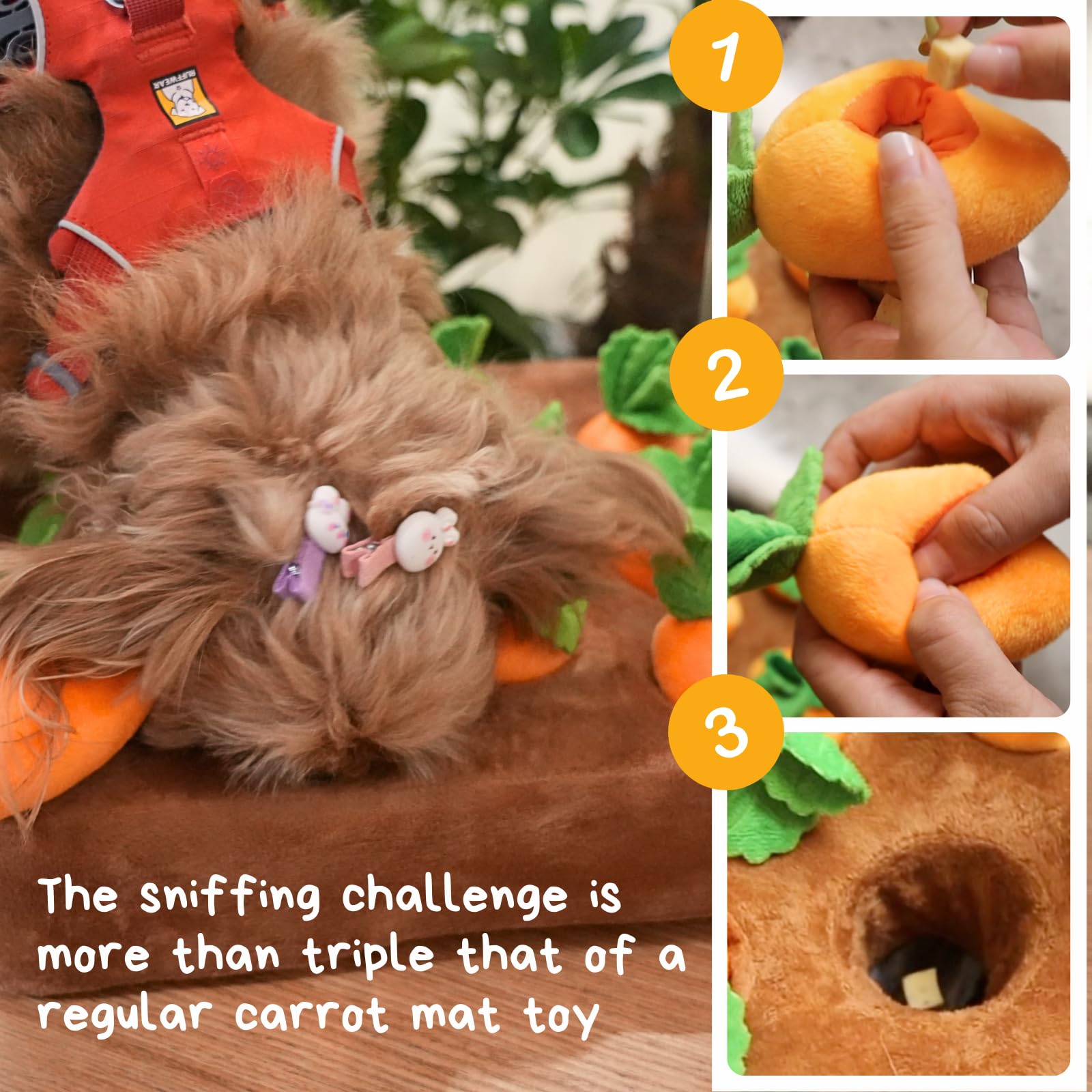 CECE PAW spongy mat tray with hidden treats for extra concealment