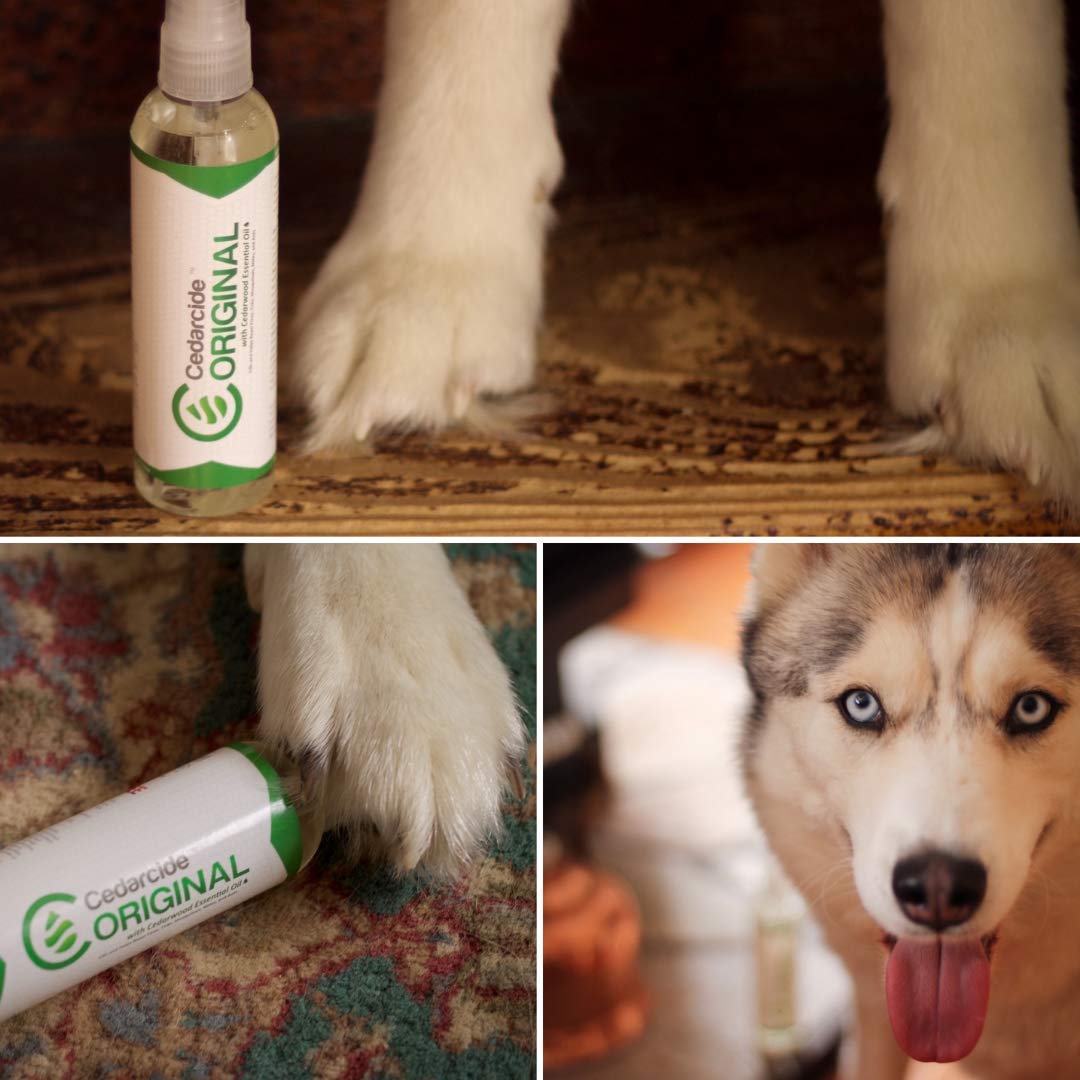 Cedarcide Original Bug Spray eco-friendly packaging and label.
