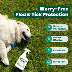 Cedarcide Original Bug Spray nozzle action ready to protect family indoors.