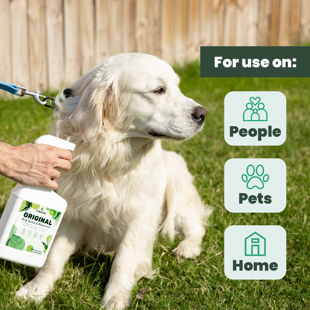 Cedarcide Original Bug Spray spray action demonstrates quick indoor coverage.