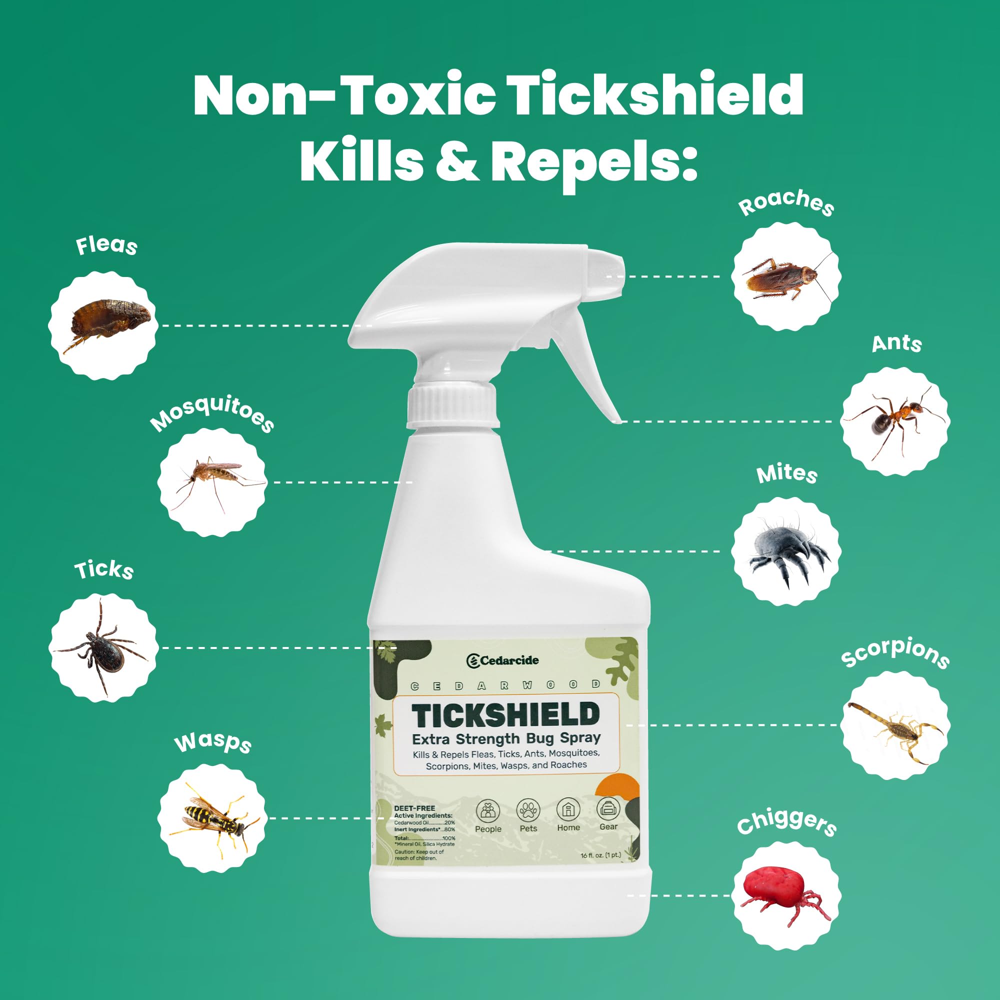 Cedarcide Tickshield application on skin for safe outdoor protection