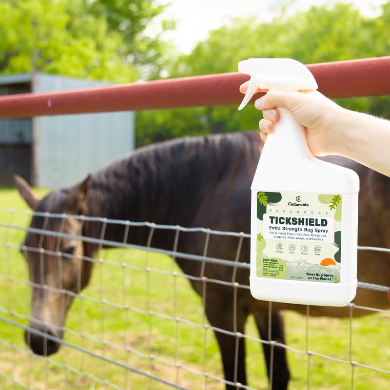 Outdoor scene with Tickshield bottle for yard and camping use