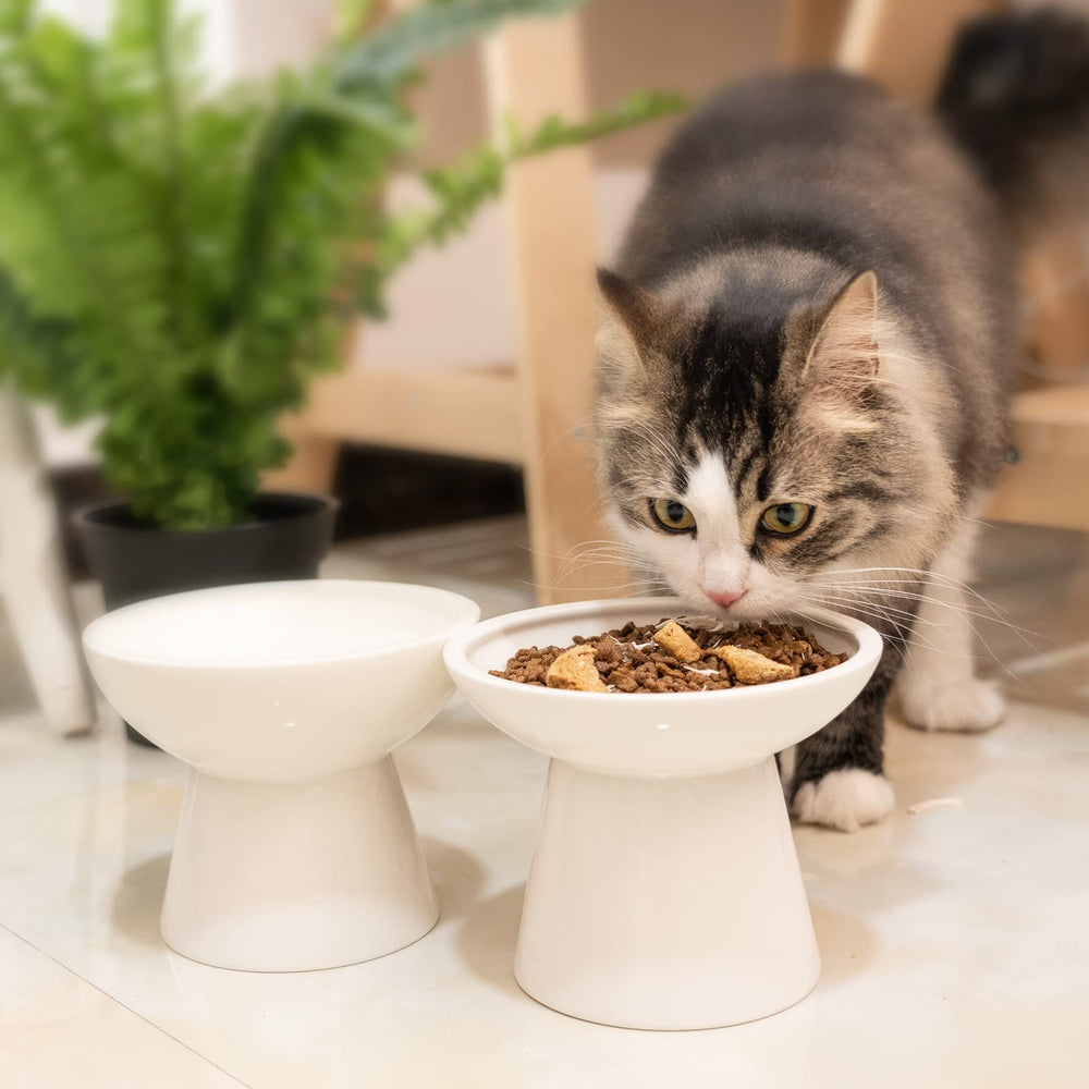 CEEFU 2 elevated cat bowls white finish adds modern home decor.