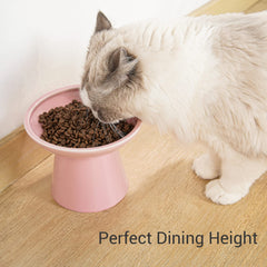CEEFU raised cat bowl at 5-inch height promotes comfortable, low-strain meals.
