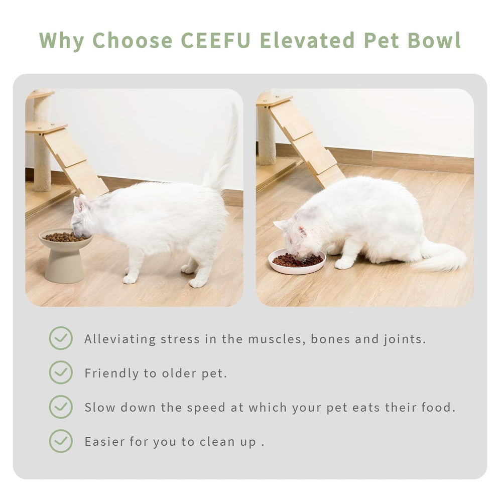 CEEFU ceramic cat dish close-up emphasizing non-absorbent surface