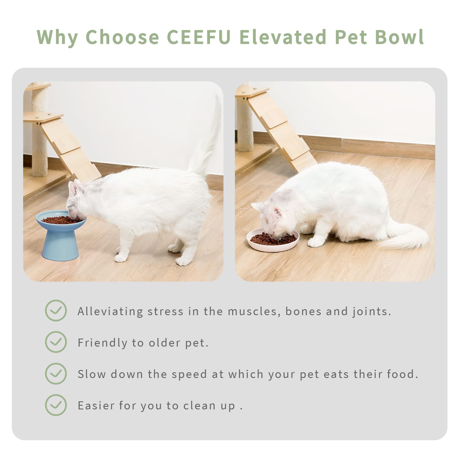 CEEFU dishwasher and microwave safe cat bowl for quick cleaning