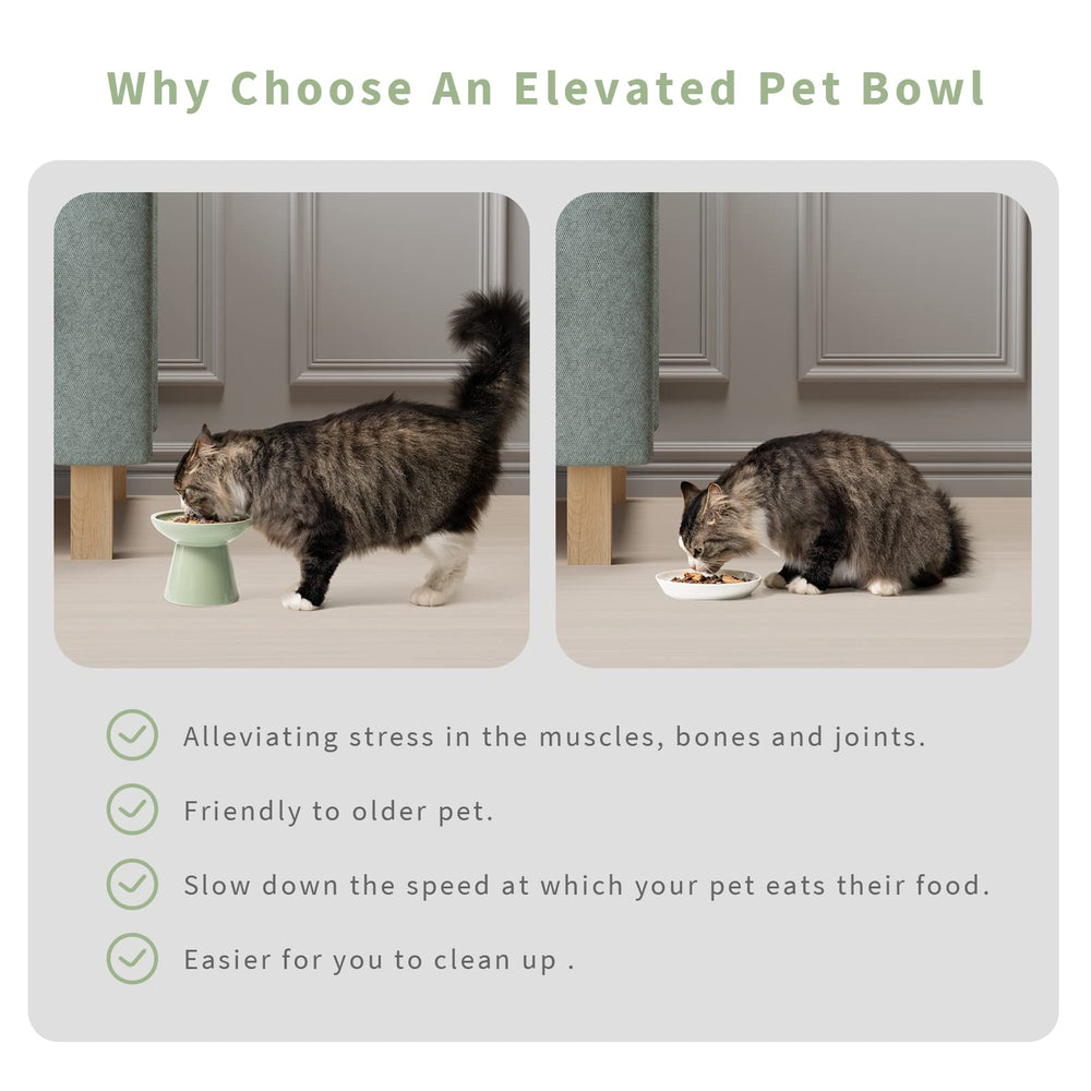CEEFU dishwasher-safe ceramic ensures quick cleanup after meals.