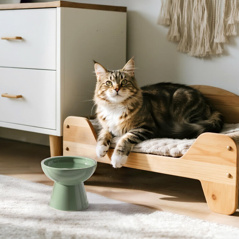 CEEFU durable ceramic cat bowl, dishwasher and microwave safe