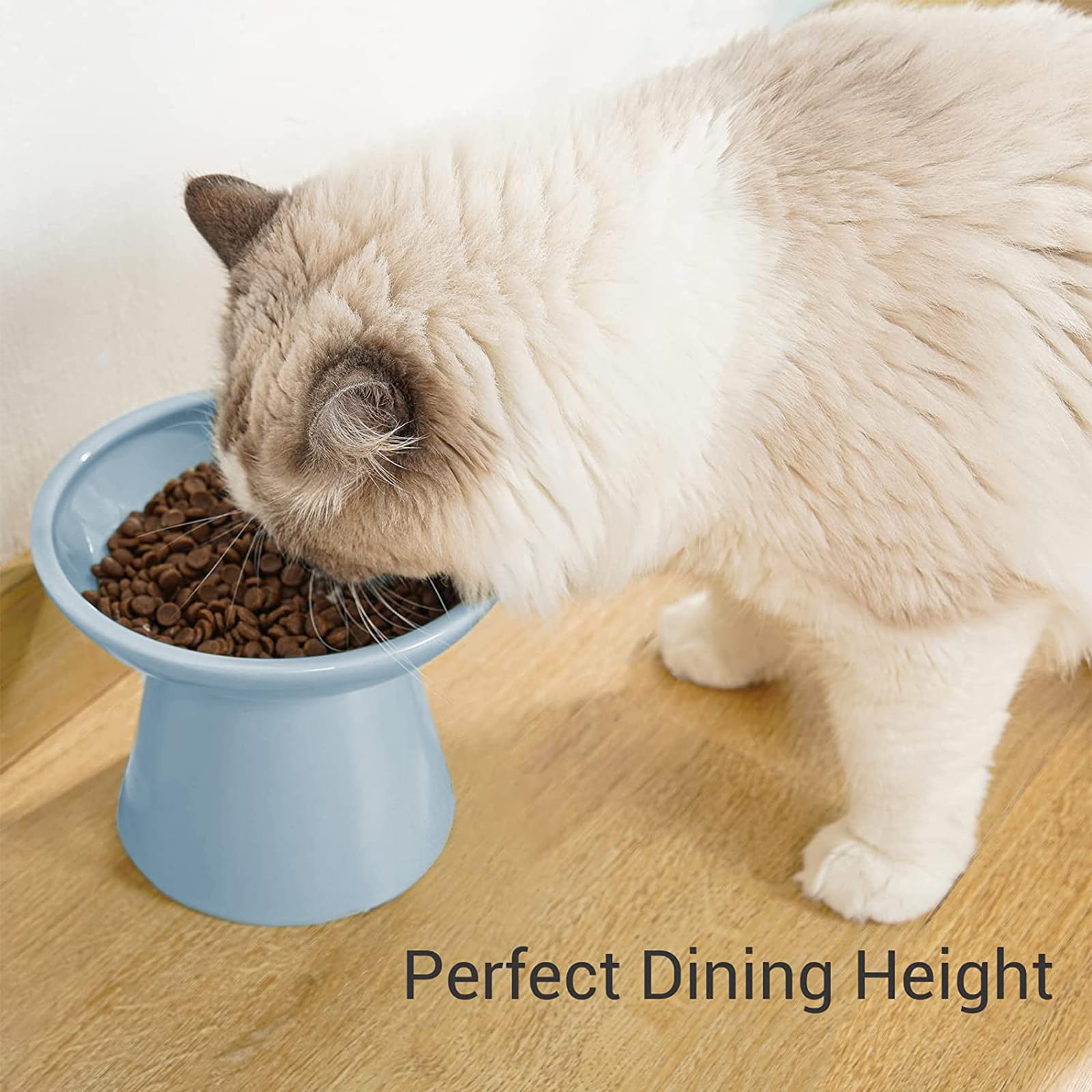 Durable ceramic raised cat bowl in blue for steady mealtime.