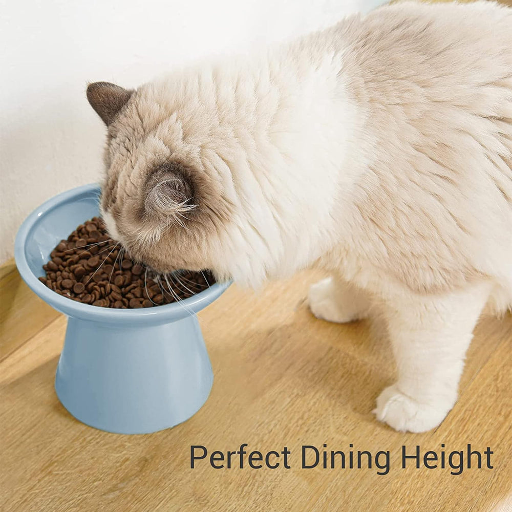 Durable ceramic raised cat bowl in blue for steady mealtime.