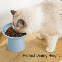 Durable ceramic raised cat bowl in blue for steady mealtime.