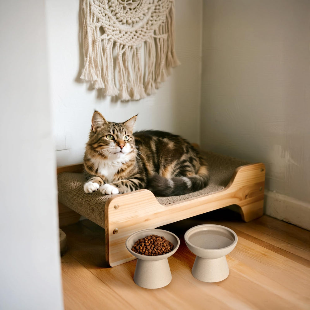 CEEFU durable dishwasher safe cat bowl for easy cleaning