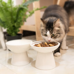 CEEFU durable, heavy-base bowl resists tipping during meals
