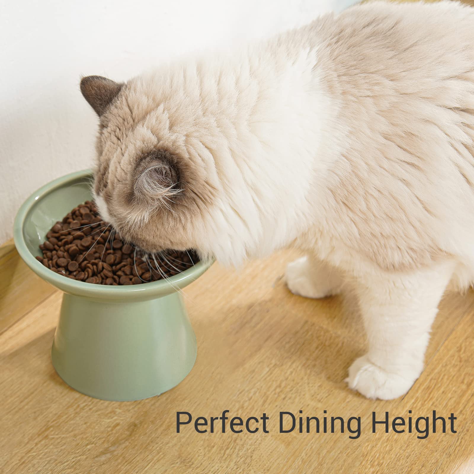 CEEFU raised ceramic bowl on a stand provides comfortable eating height for older cats