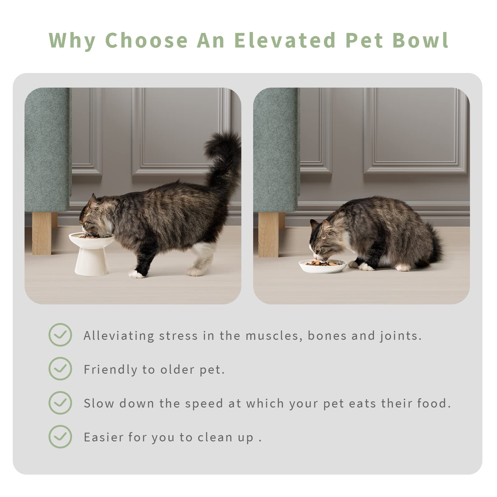 CEEFU ergonomic elevated bowl designed for comfortable dining for older cats.