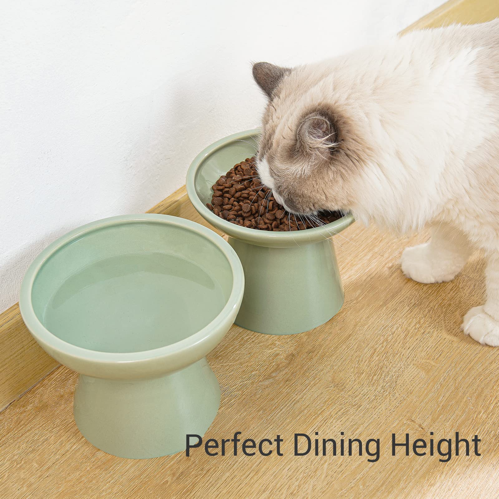CEEFU gift-worthy cat bowl for fur-parents
