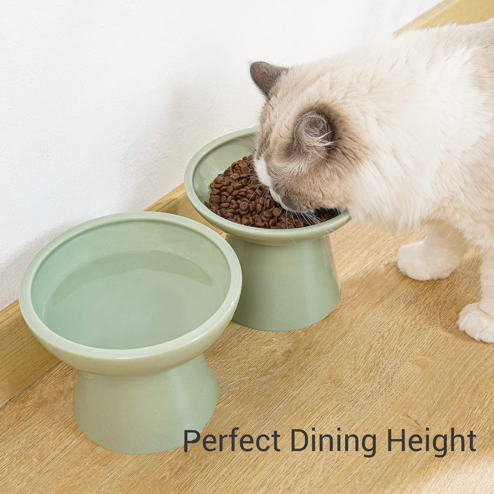 CEEFU gift-worthy cat bowl for fur-parents