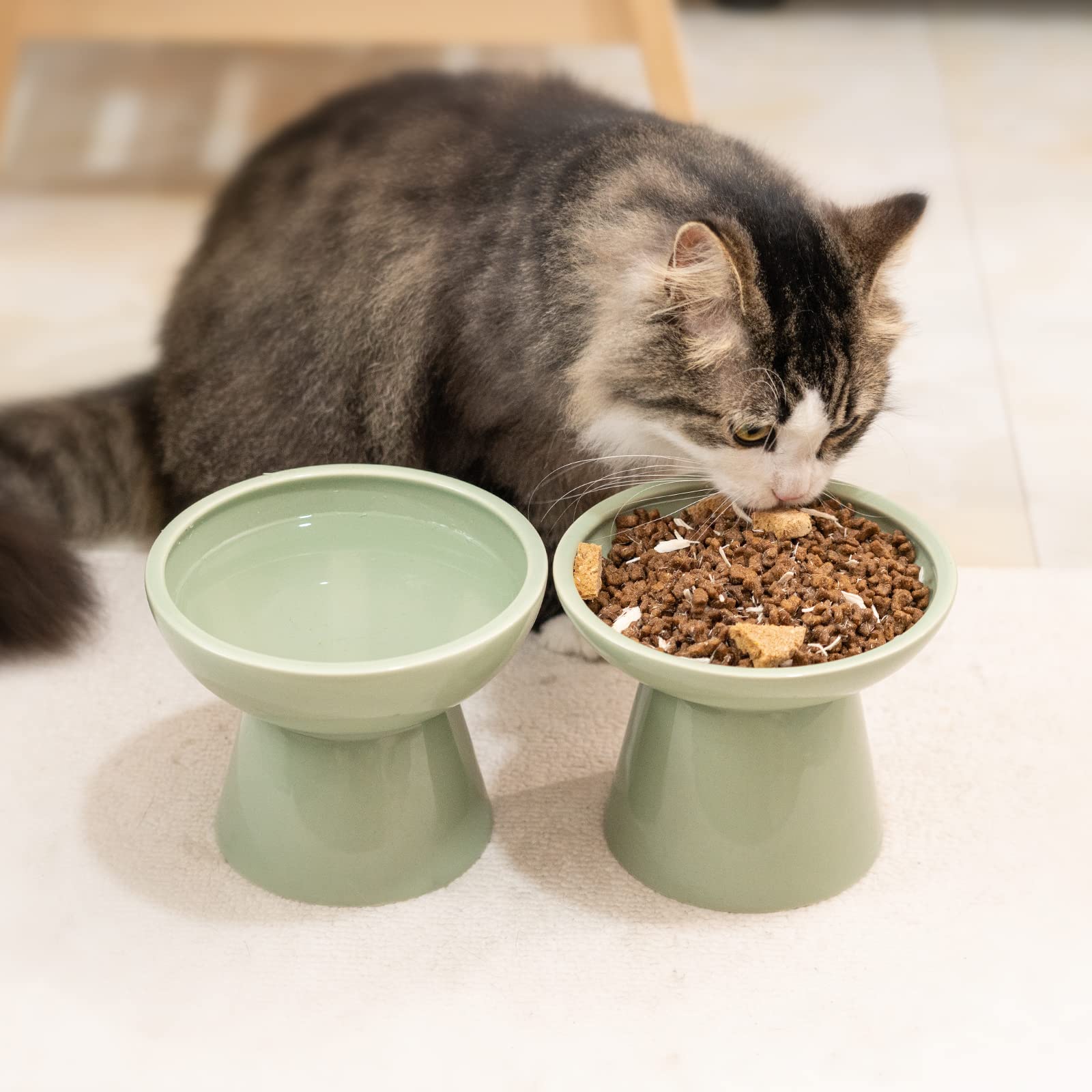 CEEFU lead and cadmium free cat bowl for safe mealtimes