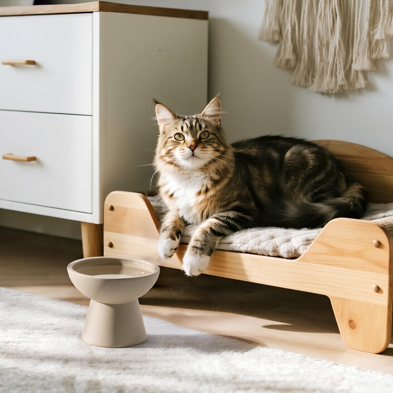 CEEFU modern ceramic bowls in two colors complement home decor