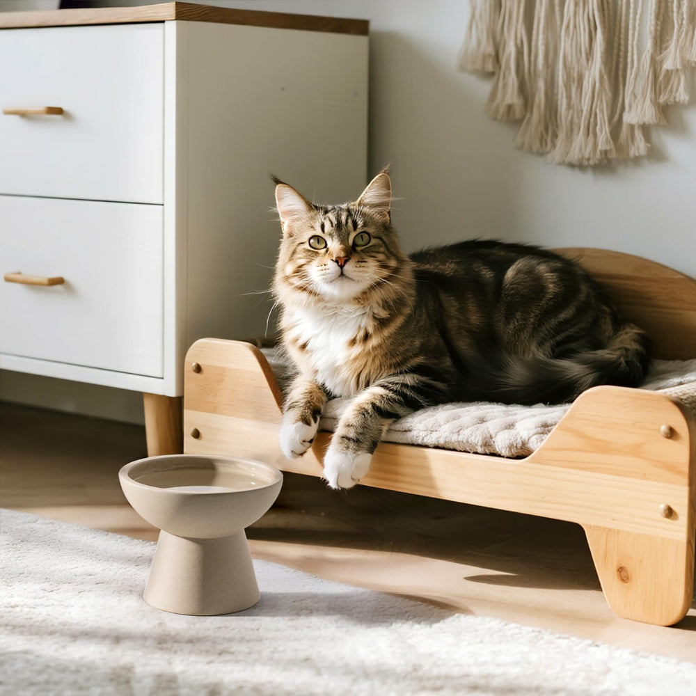 CEEFU modern ceramic bowls in two colors complement home decor