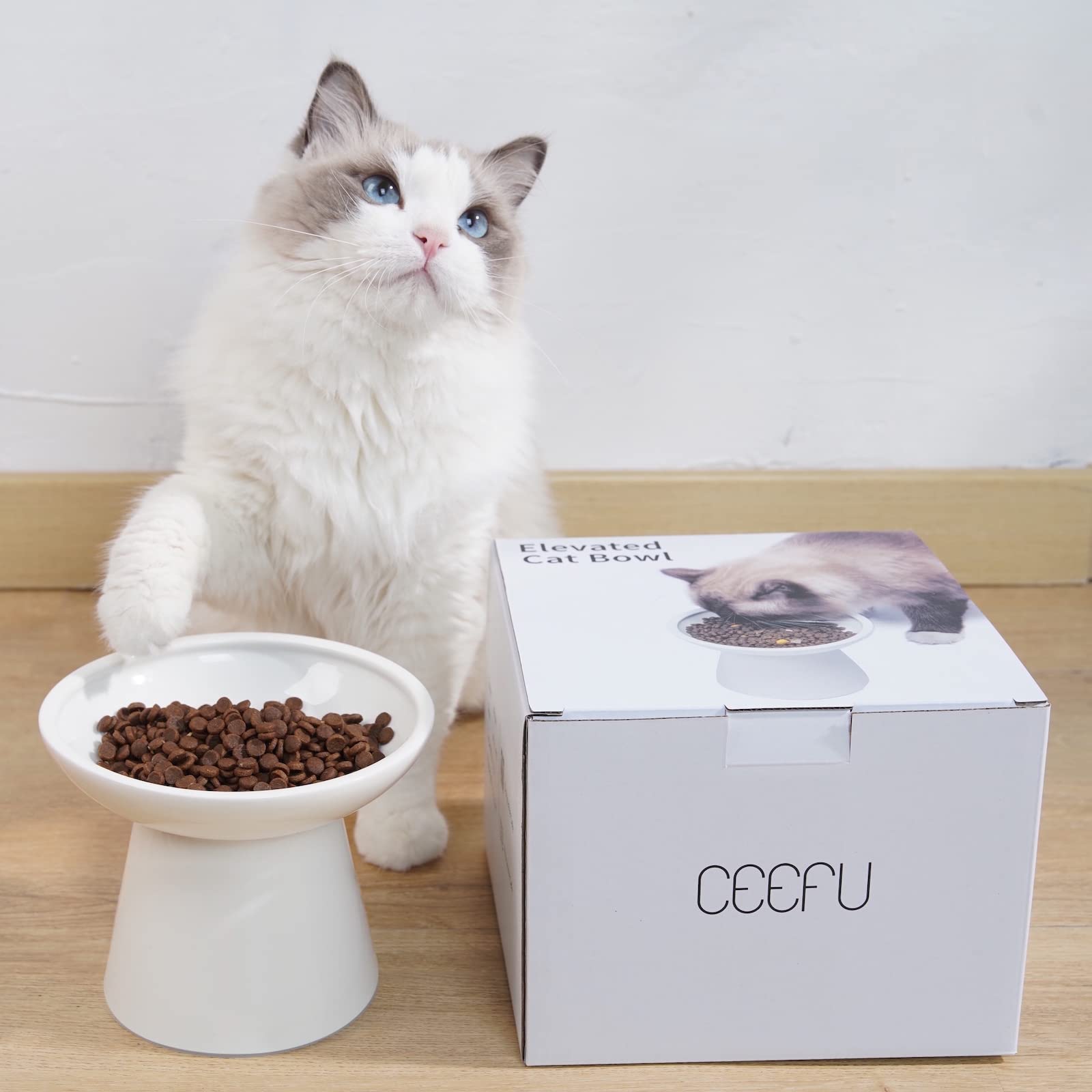 CEEFU contemporary white raised cat bowl adds chic to mealtime.