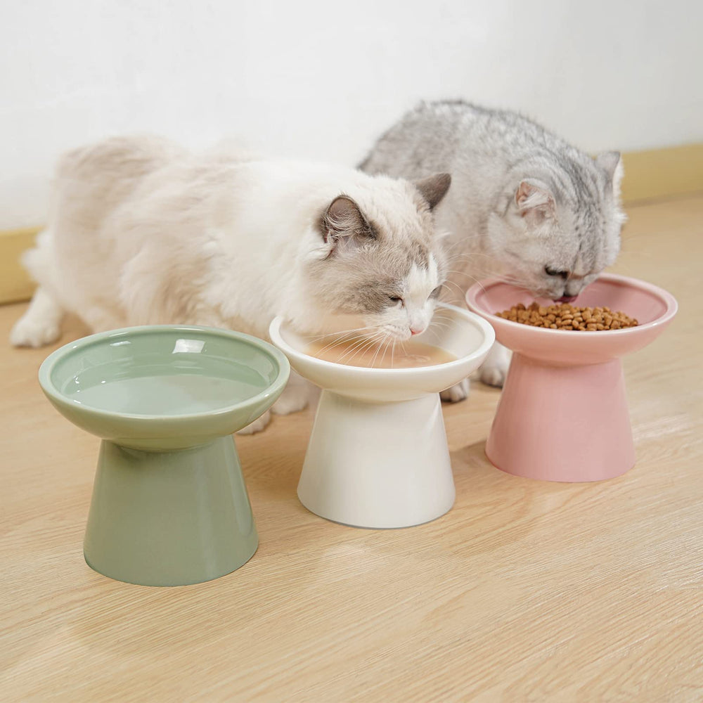 CEEFU raised design helps older cats eat without excessive bending