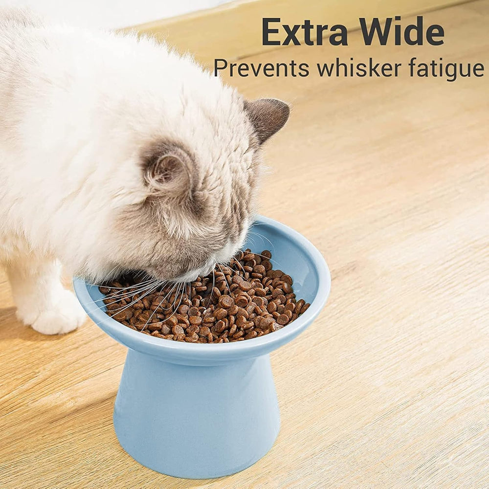 CEEFU pack of two blue bowls provides sturdy feeding solutions