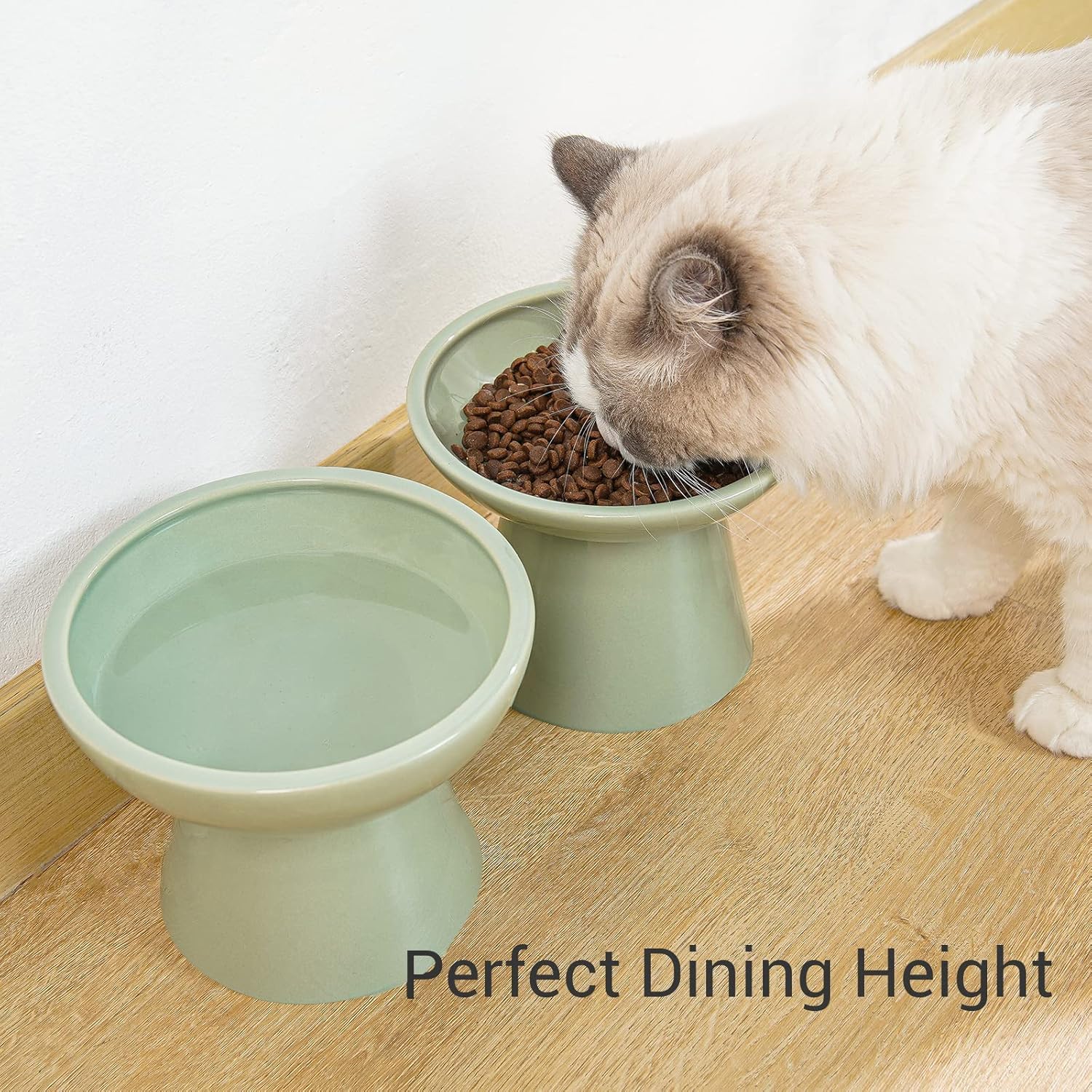 CEEFU raised-height cat bowls prevent tipping during meals.