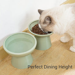 CEEFU raised-height cat bowls prevent tipping during meals.