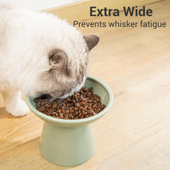 CEEFU sage-green bowl close-up emphasizes durable, non-absorbent ceramic material