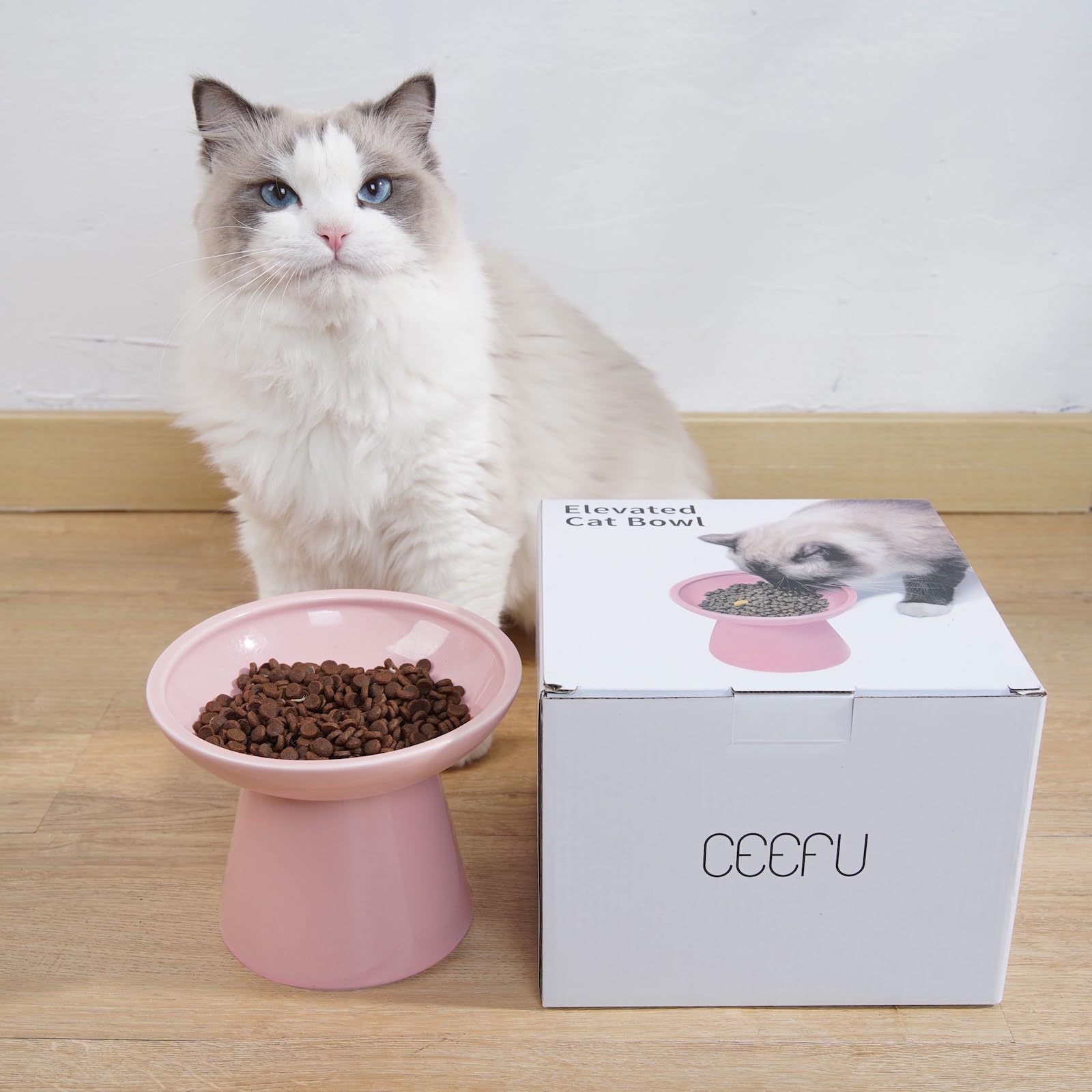 CEEFU sturdy ceramic raised cat bowl with stable base.