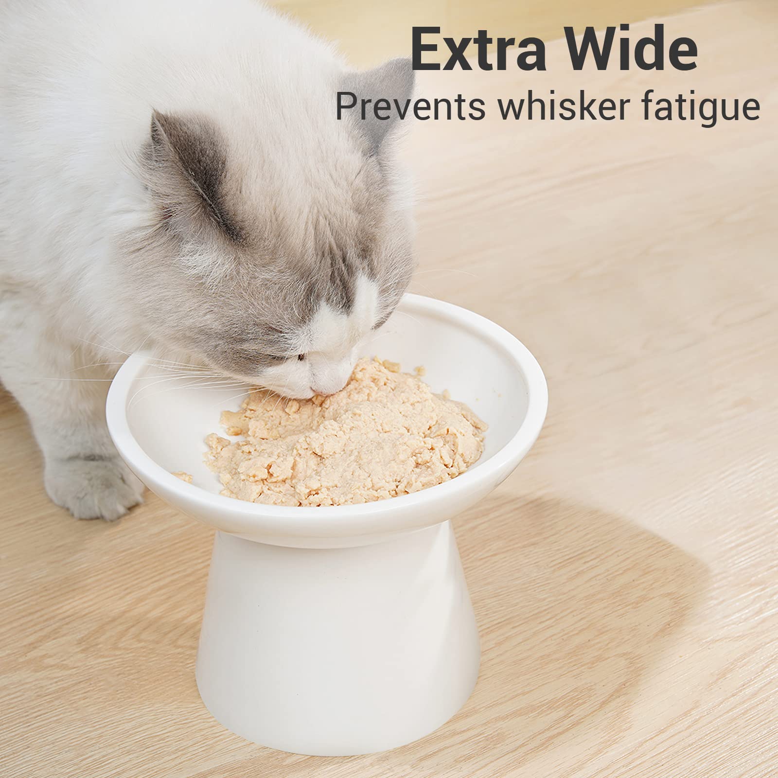 CEEFU stylish white ceramic cat bowl set in a modern two-pack.