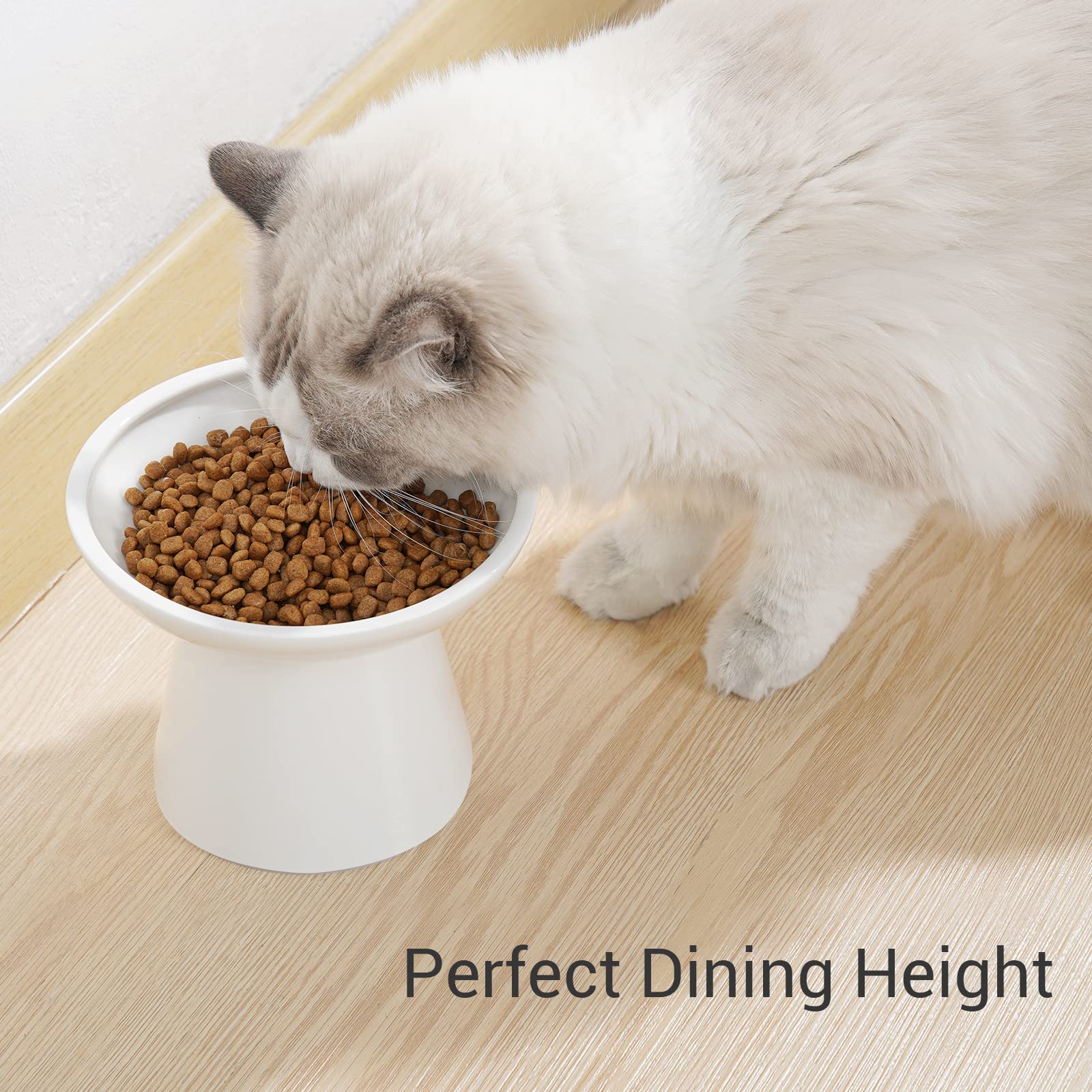 CEEFU whisker-friendly design helps reduce whisker fatigue during meals.