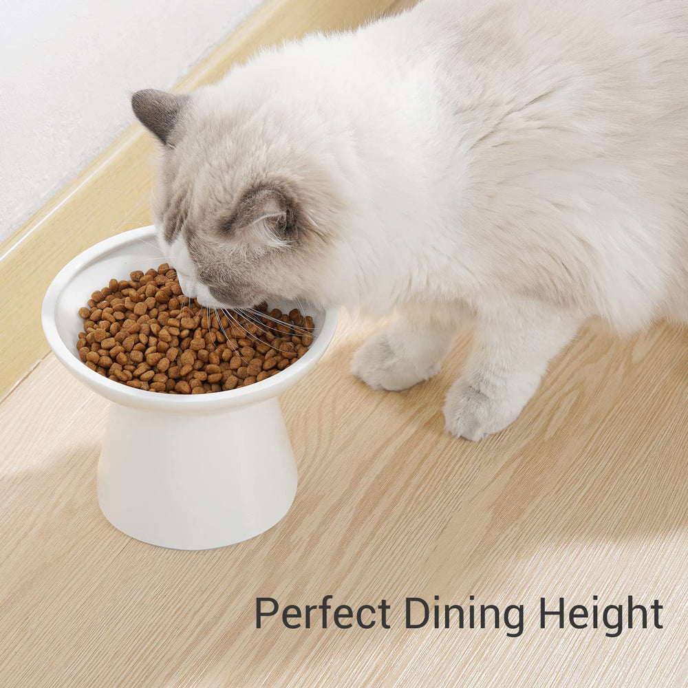 CEEFU whisker-friendly design helps reduce whisker fatigue during meals.