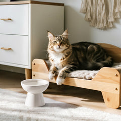 CEEFU whisker-friendly design helps cats access kibble and water easily